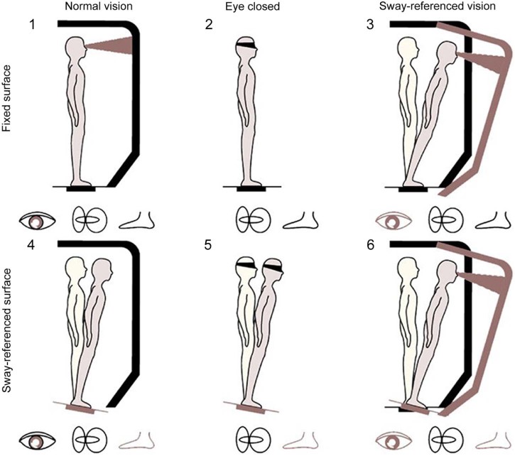 Fig. 1