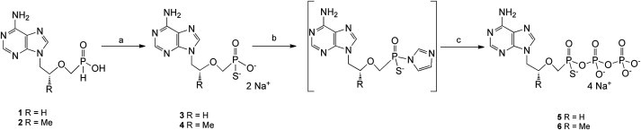 Scheme 1