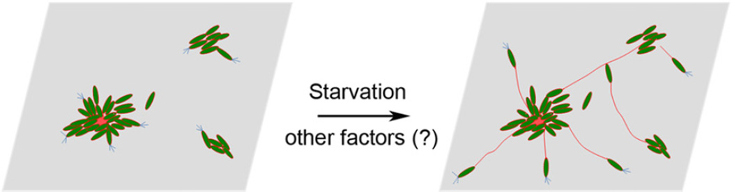 Fig. 9