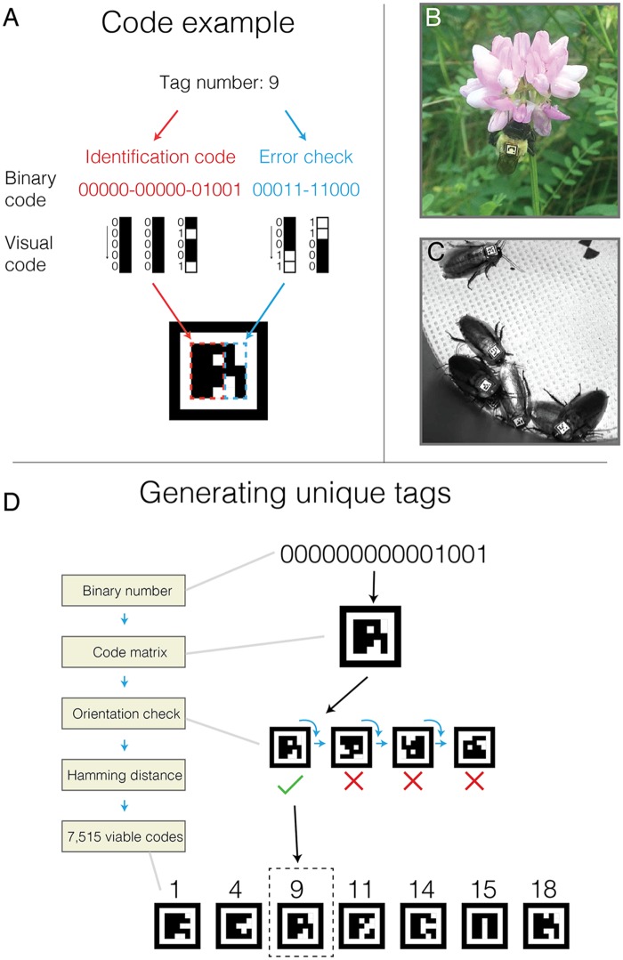 Fig 1