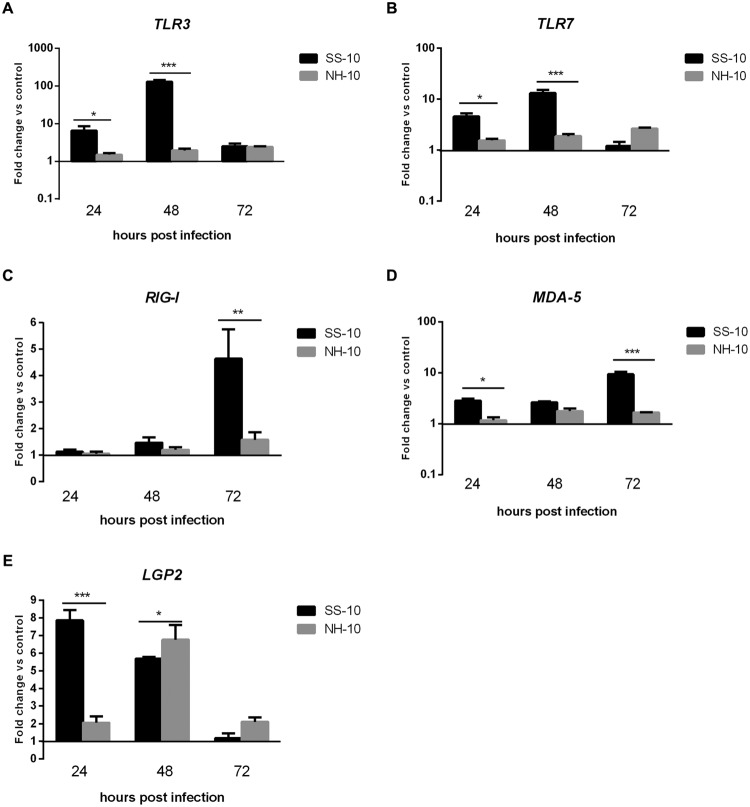 FIGURE 3