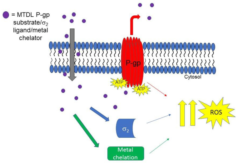 Figure 6