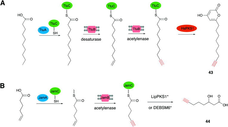 Fig. 12