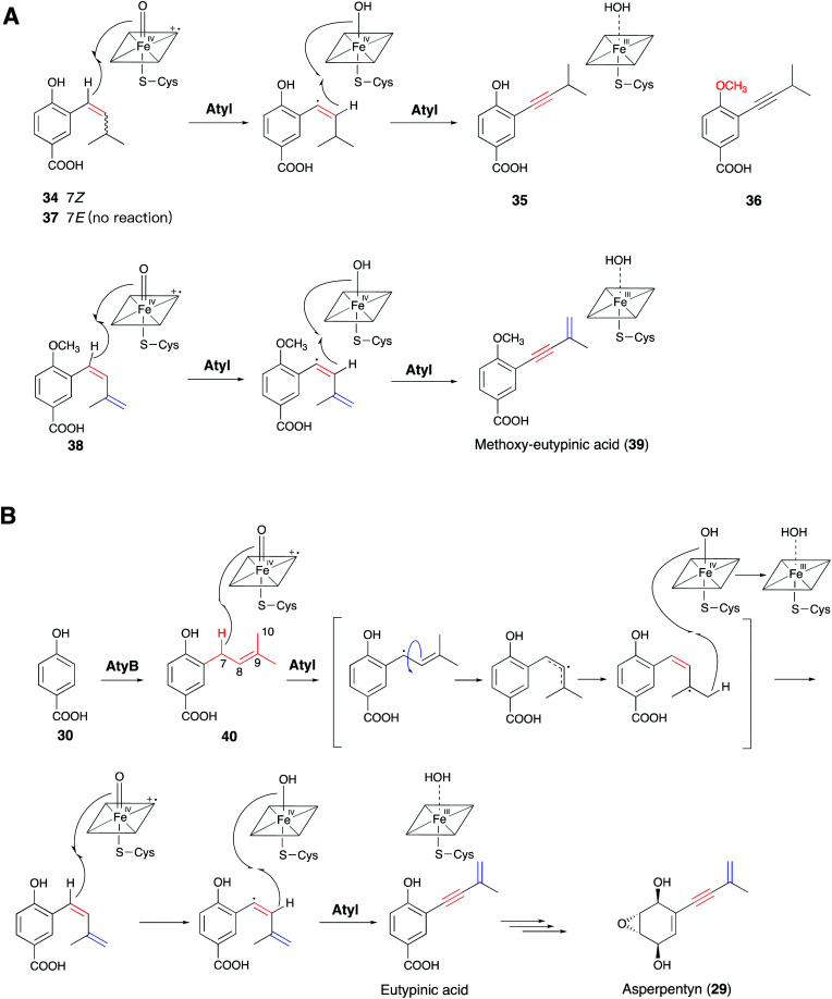 Fig. 10