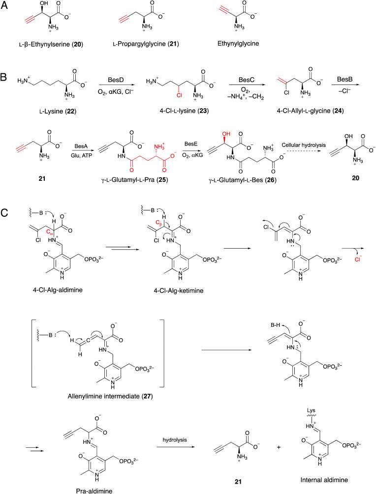 Fig. 8