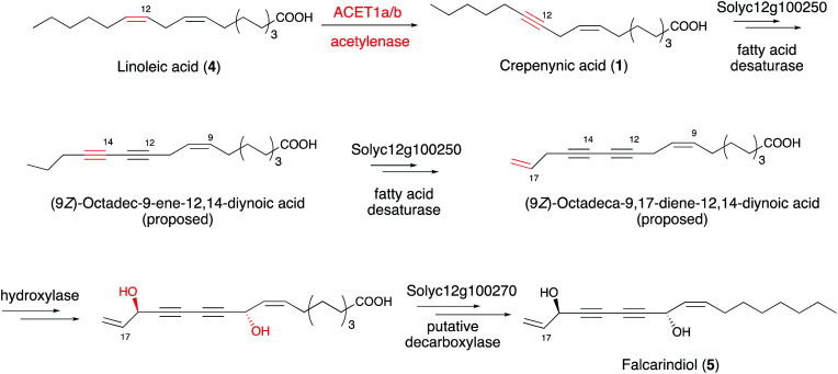 Fig. 4