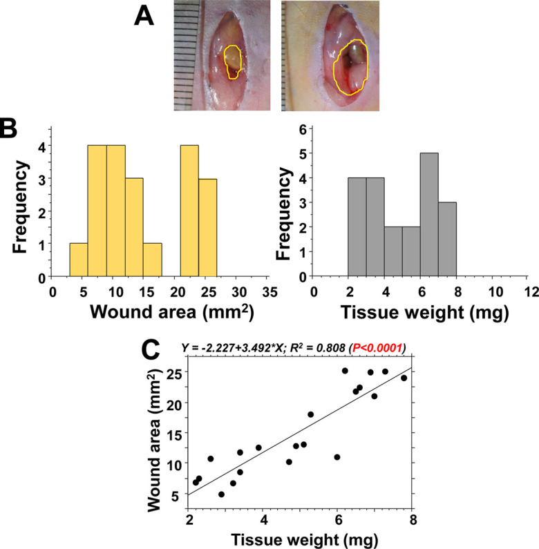 Fig. 4.