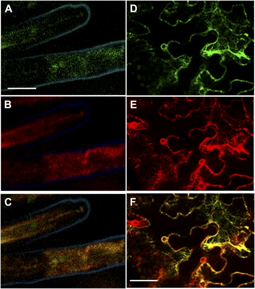 Figure 6.