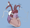 Figure 1:
