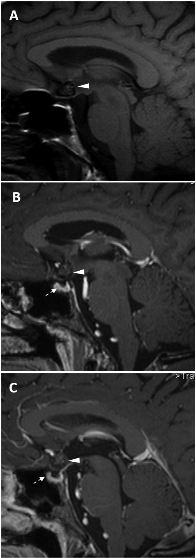 Figure 3.