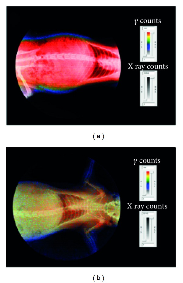 Figure 10