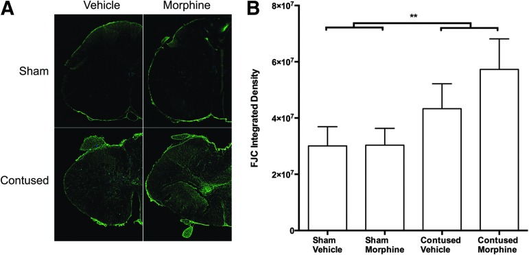 FIG. 7.