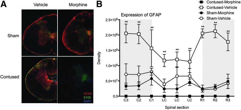 FIG. 8.