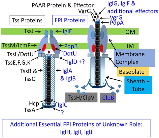 Figure 7