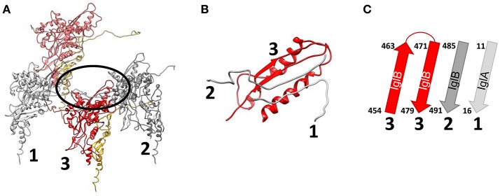 Figure 10