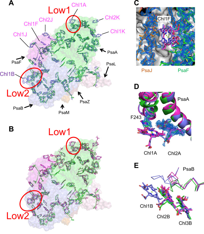 Figure 4.