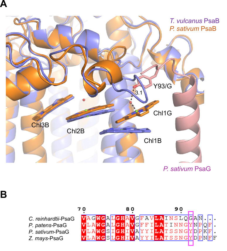 Appendix 1—figure 10.