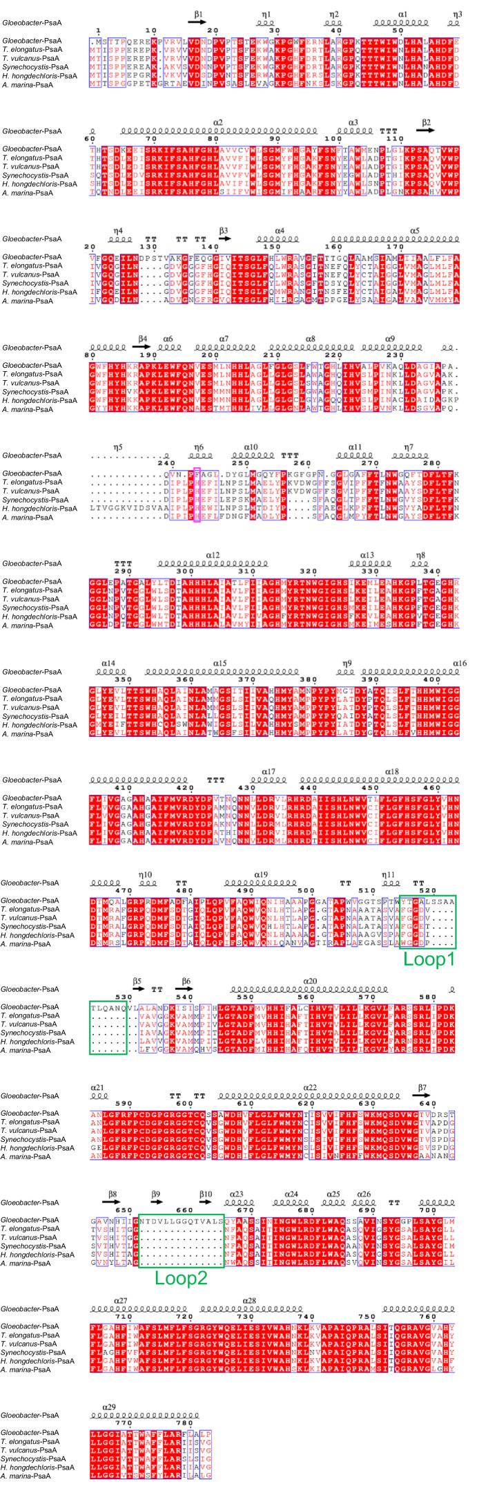 Appendix 1—figure 4.