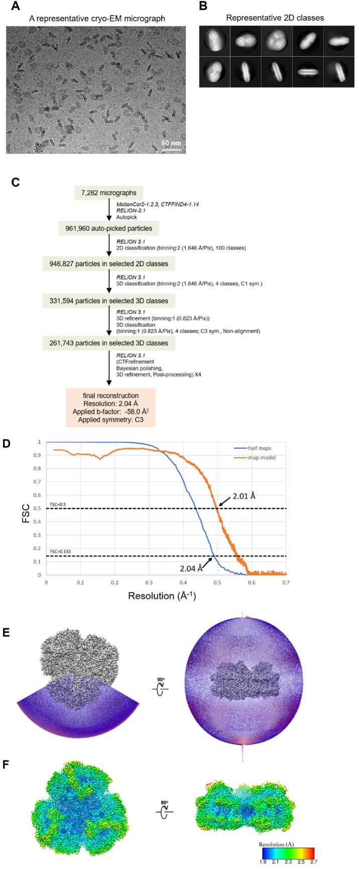 Appendix 1—figure 2.