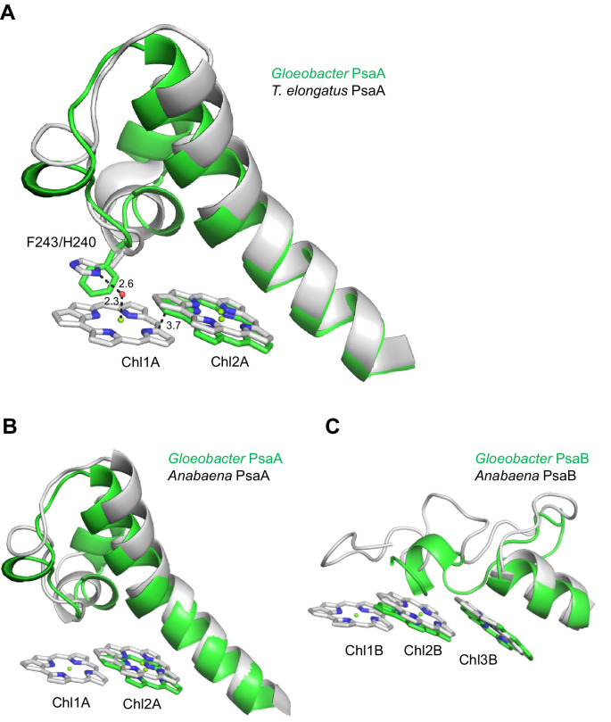 Appendix 1—figure 7.