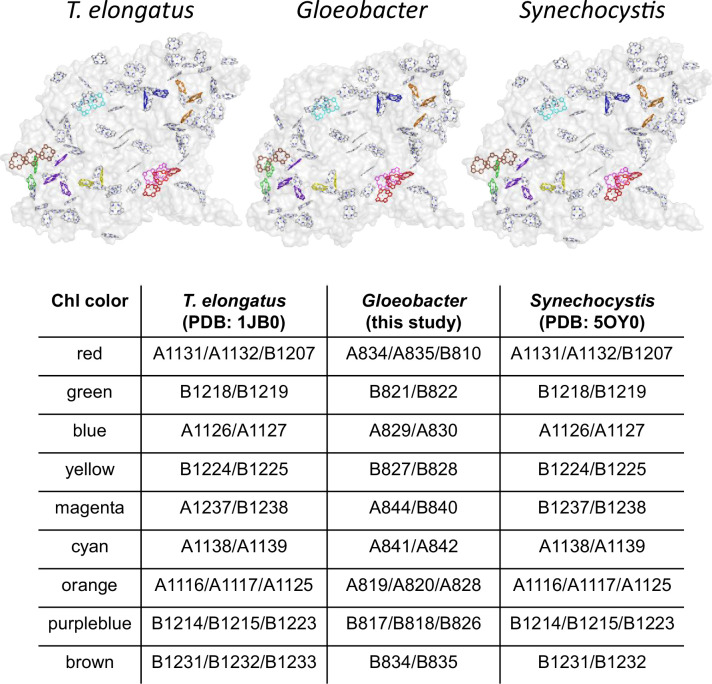 Appendix 1—figure 9.