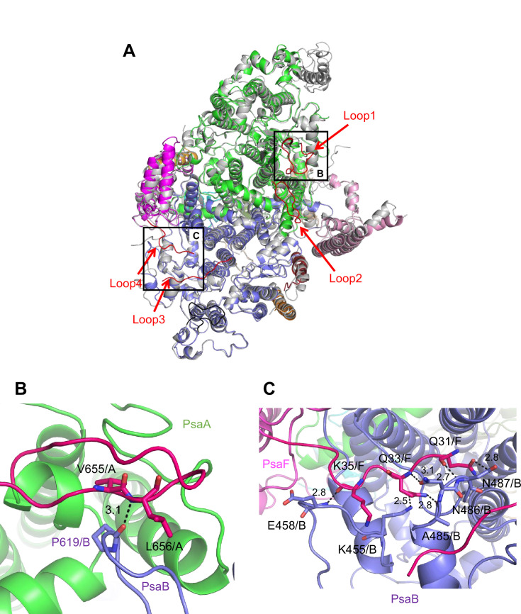 Figure 3.