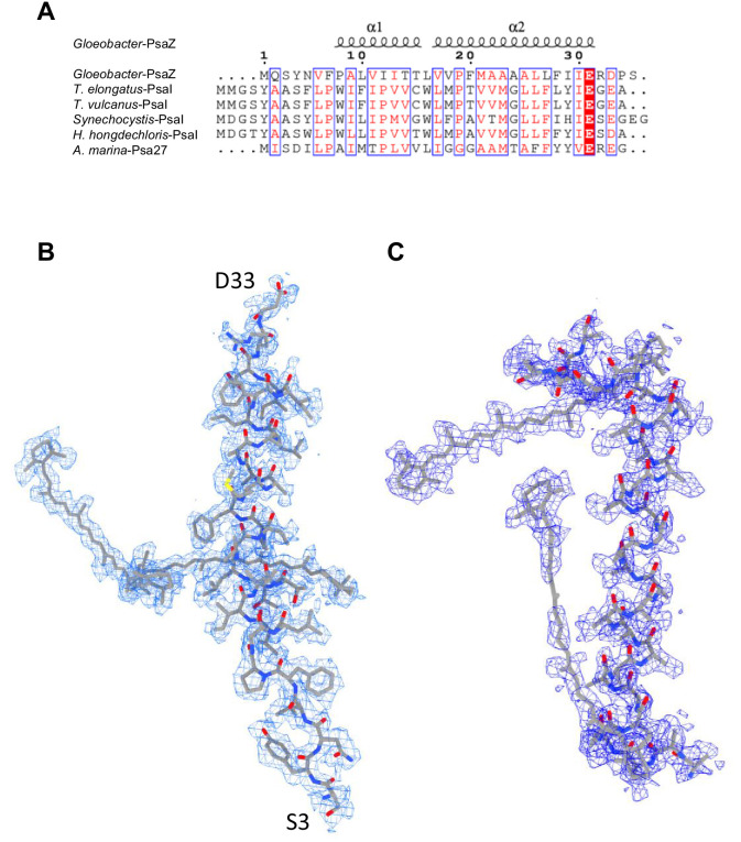 Appendix 1—figure 3.