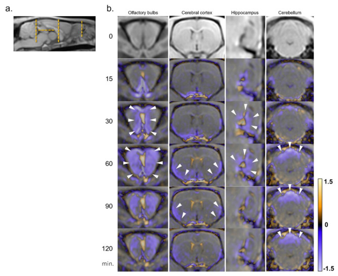 Fig. 4