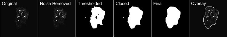 FIG. 2.