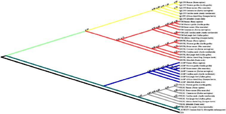 Figure 2.