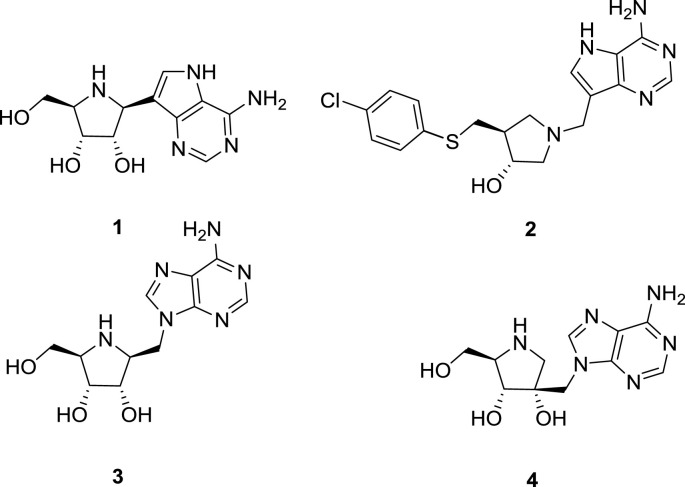 Fig. 1