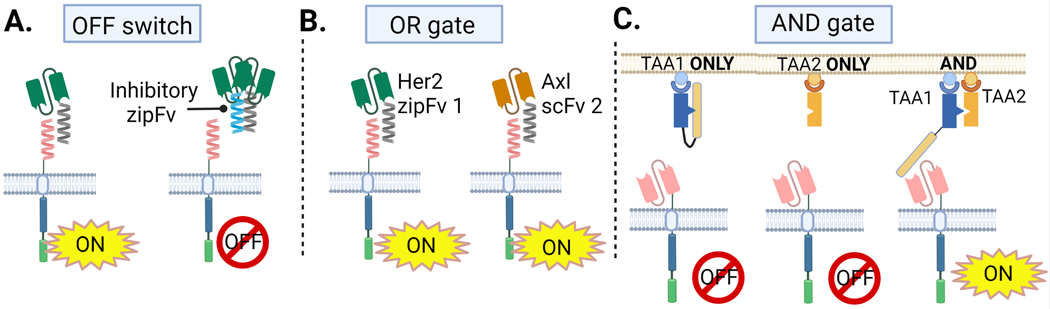 Fig 3.