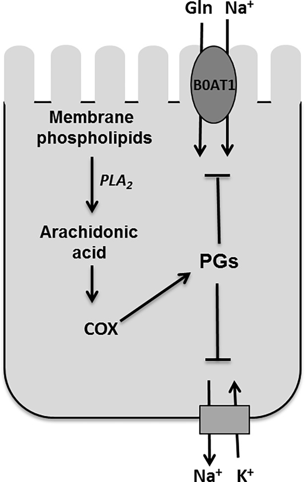 Fig 8