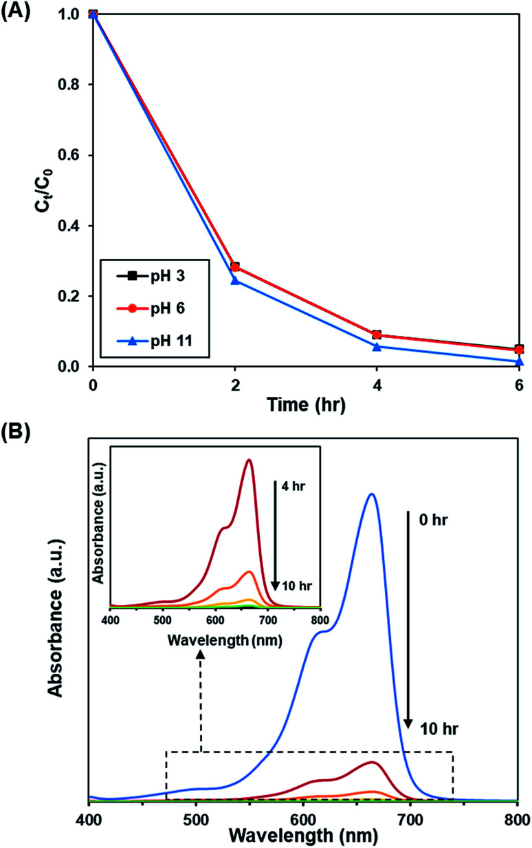 Fig. 10