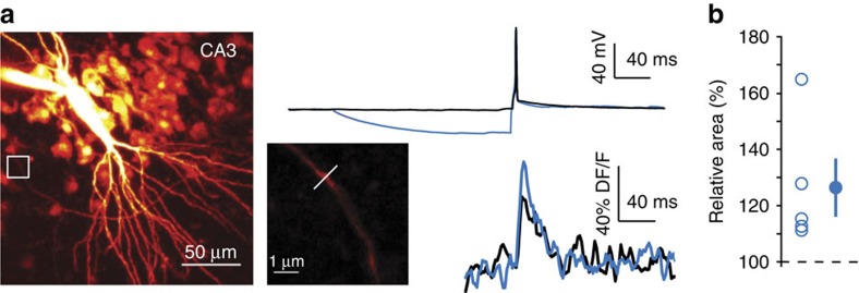 Figure 5