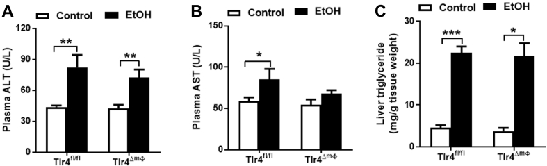 Figure 6