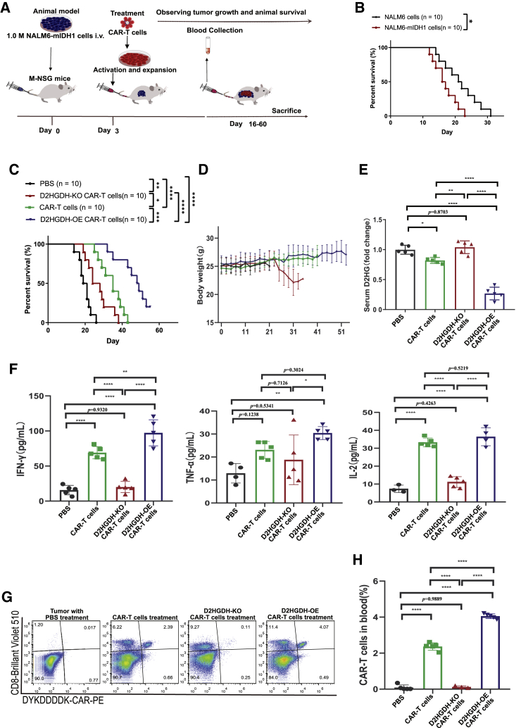 Figure 6