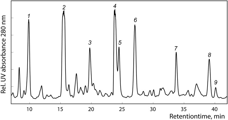 FIGURE 1