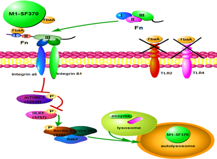 FIG 9