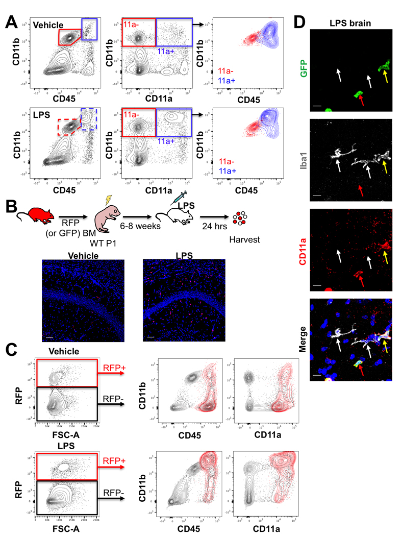 Figure 2: