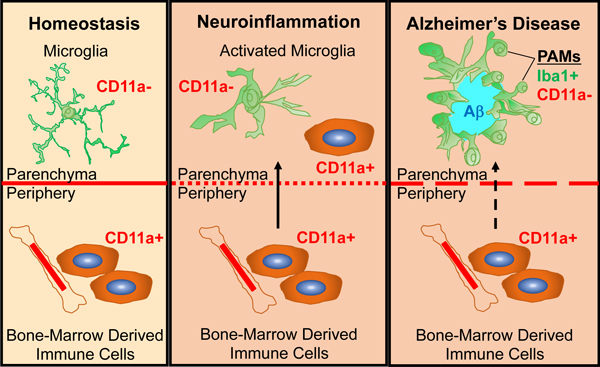 graphic file with name nihms-1598979-f0006.jpg