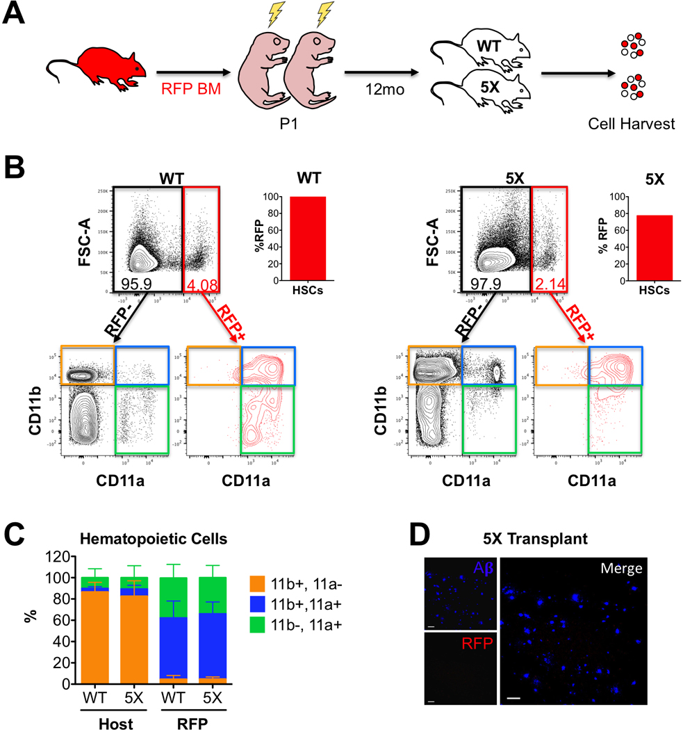 Figure 4: