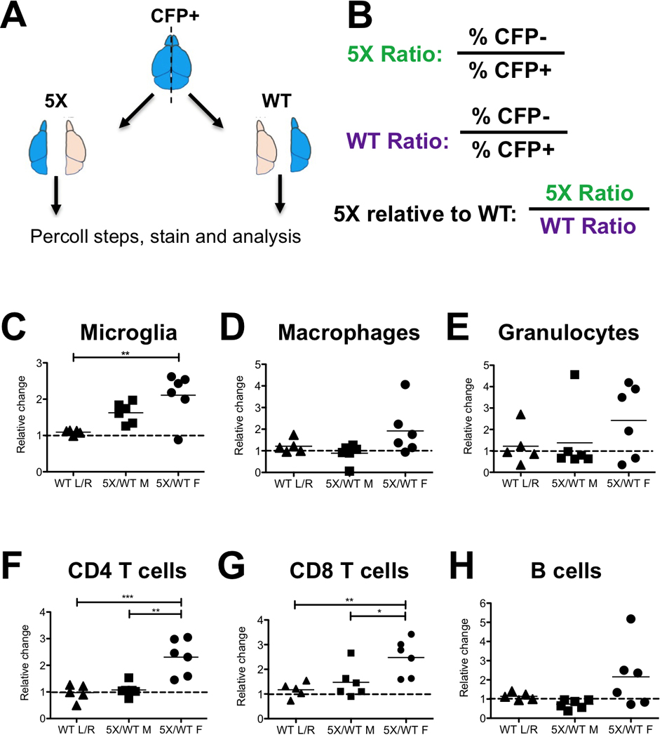 Figure 5: