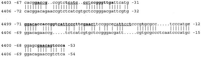 FIG. 11.