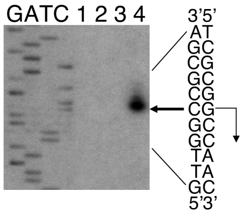 FIG. 5.