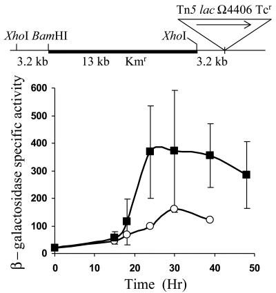 FIG. 6.