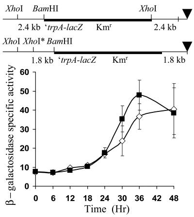 FIG. 8.