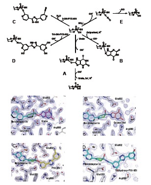 Fig. (8)