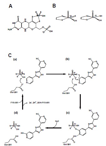 Fig. (4)