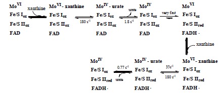 Fig. (3)